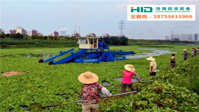 蘆葦切割收集船  割草船  水草收集船