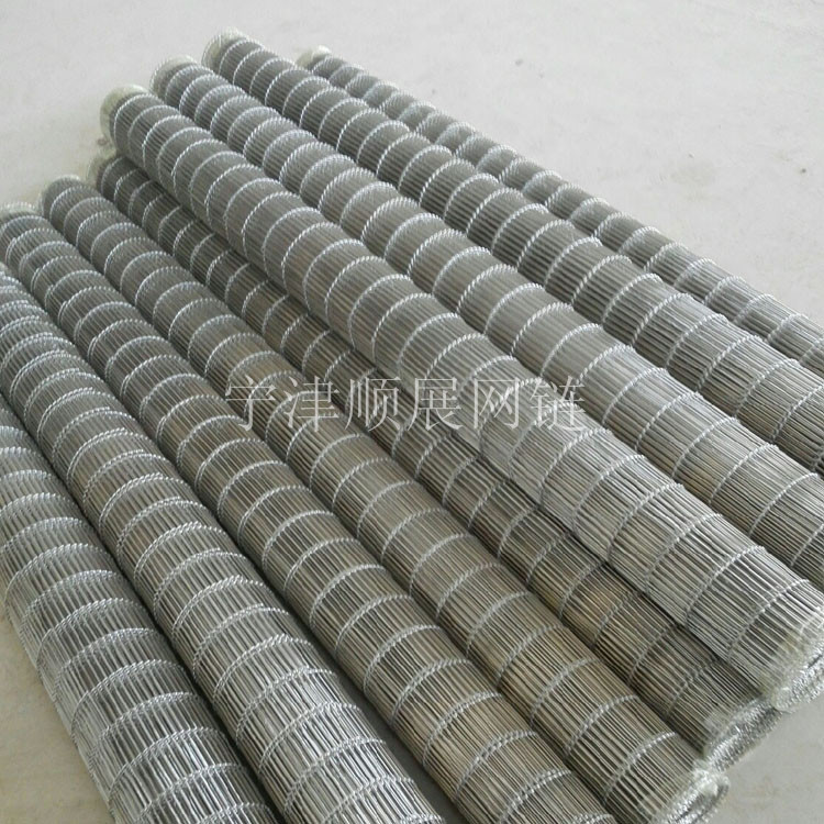 麗水廠家供應(yīng)鍍鋅鐵絲網(wǎng)帶 不銹鋼耐高溫乙型輸送網(wǎng)帶