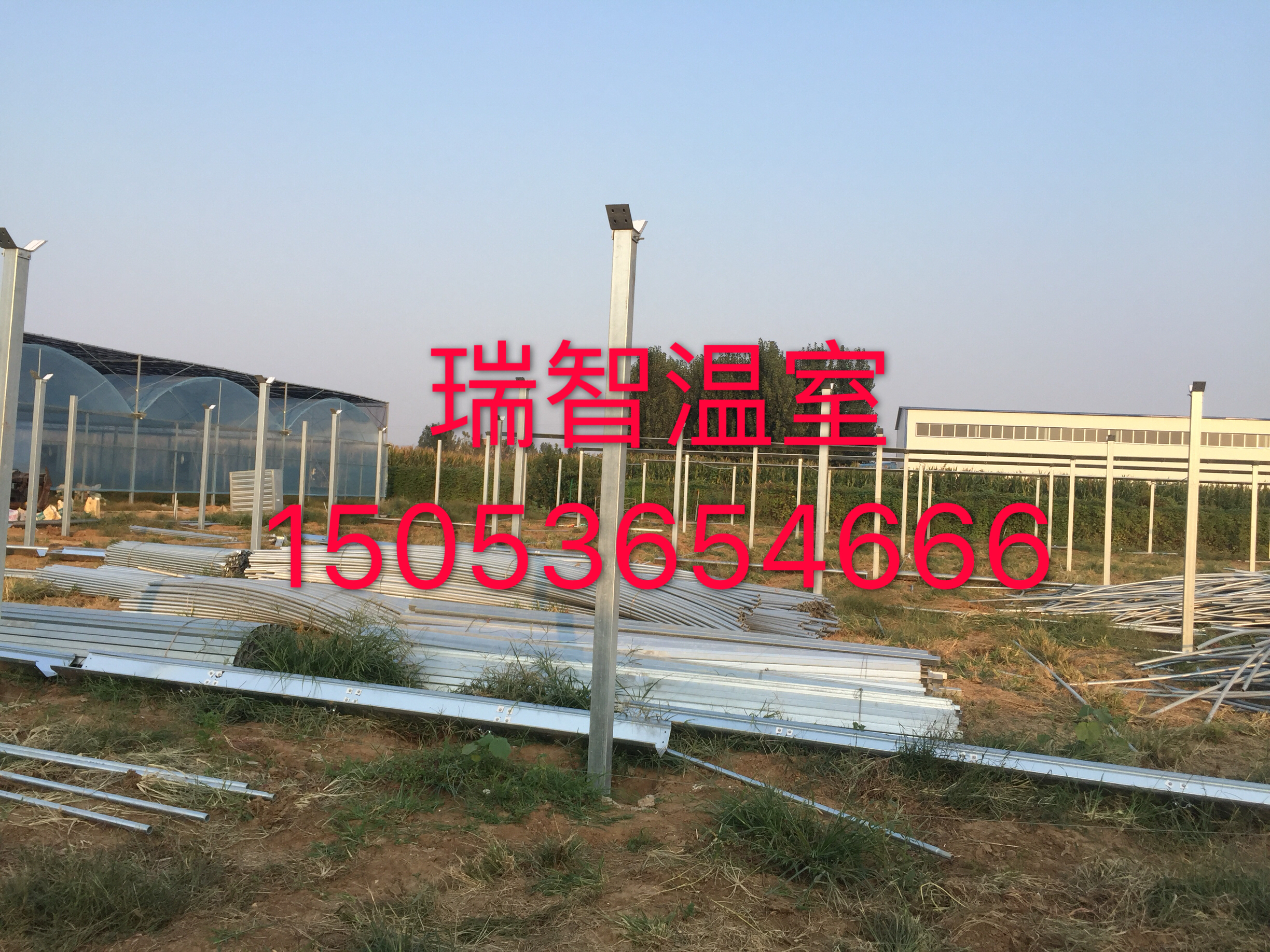 玻璃溫室的大棚造價(jià)、智能溫室大棚、現(xiàn)代化智能溫室--山東瑞智