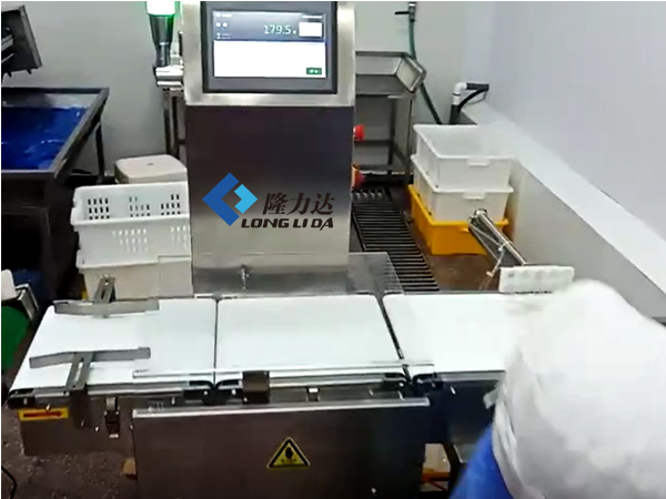 稱重選別機(jī) 在線自動(dòng)檢重秤 自動(dòng)稱重機(jī) 小型在線稱重設(shè)備 青島隆力達(dá)