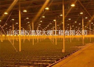 溫室骨架、溫室配件  山東瑞智溫室大棚工程有限公司