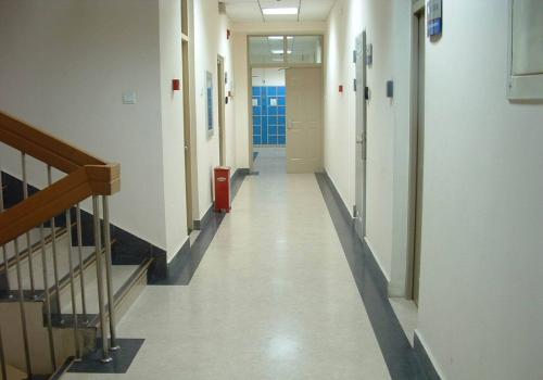 辦公室pvc塑膠地板 辦公室專業(yè)塑膠地板 pvc地板多少錢一平