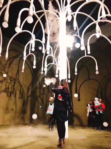 泡泡樹廠家，煙泡樹廠家