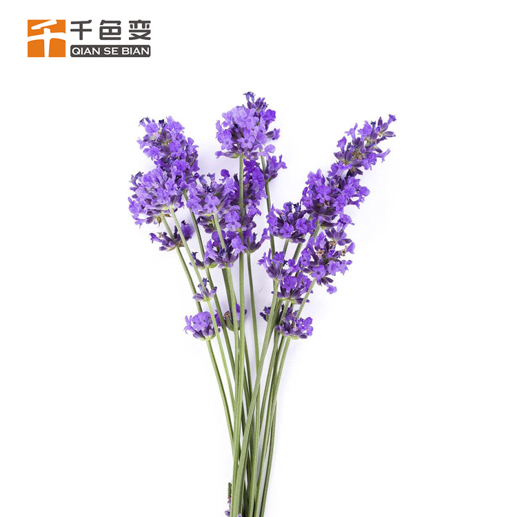 供應(yīng)各種植物香香味油墨 香味粉   摩擦香味越濃