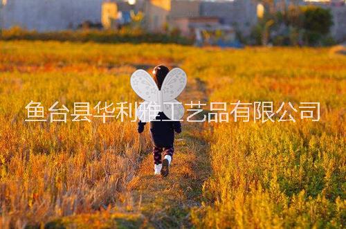 兒童玩具 紙板服裝仙女  蝴蝶翅膀 公主魔法棒 繪畫紙  涂鴉  騎士道具 裝扮 DIY