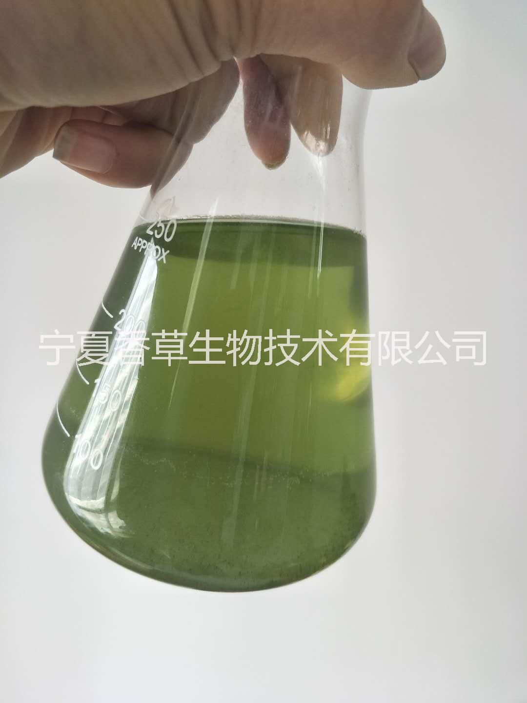 黃豆皮提取物 浸膏 黃豆皮多糖 黃豆芽粉 黃豆苗汁粉 黃豆葉全粉 黃豆根提取液 黃豆花純粉 黃豆熟粉 黃豆膳食纖維素 黃