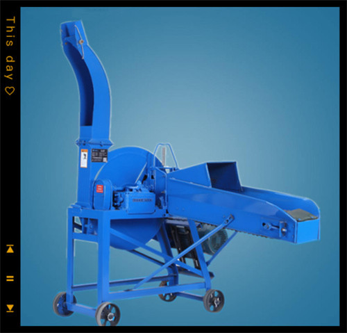 全自動(dòng)鍘草機(jī) 輸送帶進(jìn)料鍘草機(jī) 玉米桿鍘草機(jī)