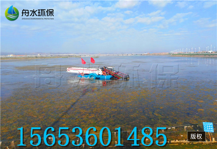 舟水專業(yè)生產割草船 優(yōu)質保潔船 打撈船生產廠家