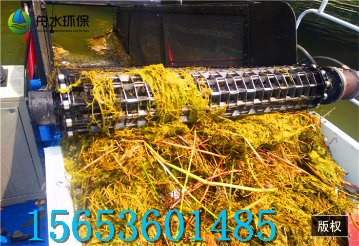 垃圾清潔船 割草船價格定制 除草船生產廠家
