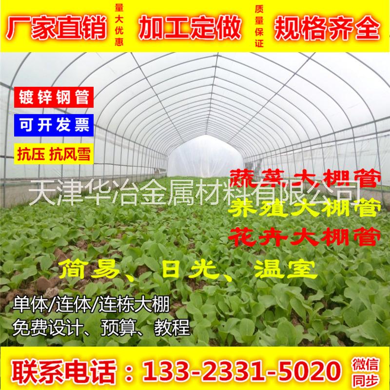 鍍鋅鋼管 鍍鋅橢圓管 20*50 長度定做 加工折彎 蔬菜大棚 暖棚 日光溫室大棚骨架