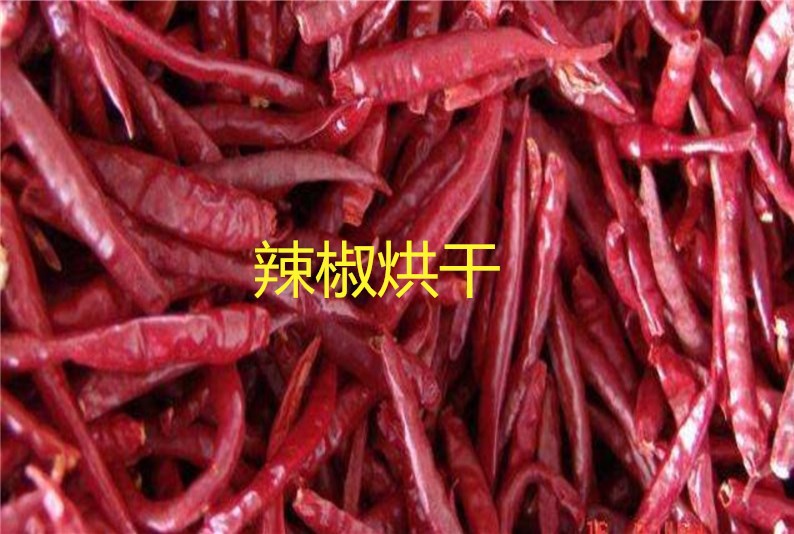 辣椒熱泵烘干機 辣椒熱泵烘干機廠家