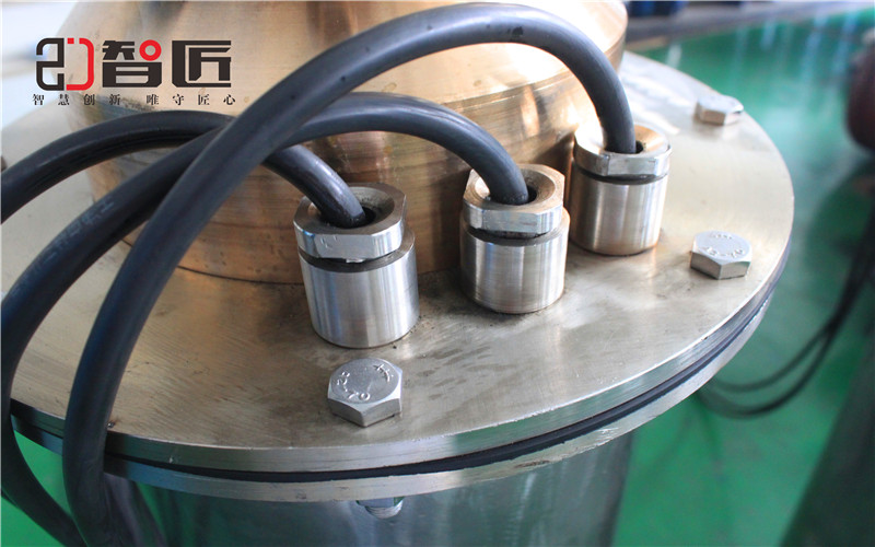 智匠海水潛水泵