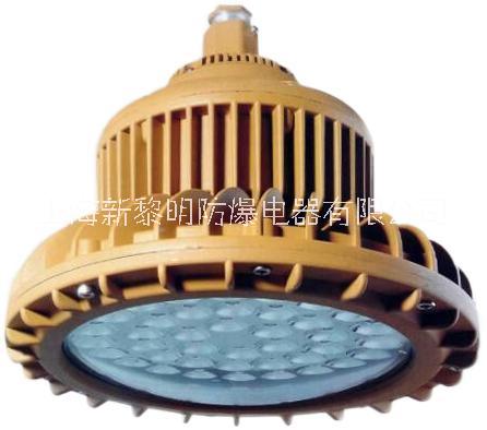 BZD210防爆燈、LED防爆燈 BZD210防爆免維護LED