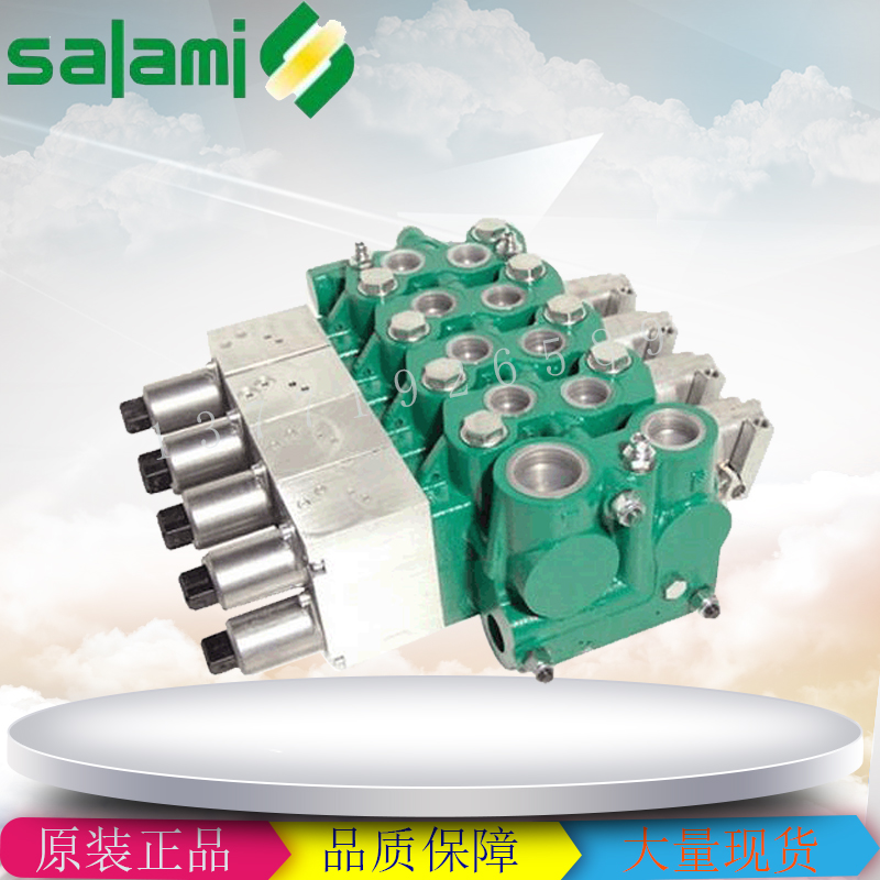 意大利薩拉米SALAMI控制閥 VDM8 VDP08