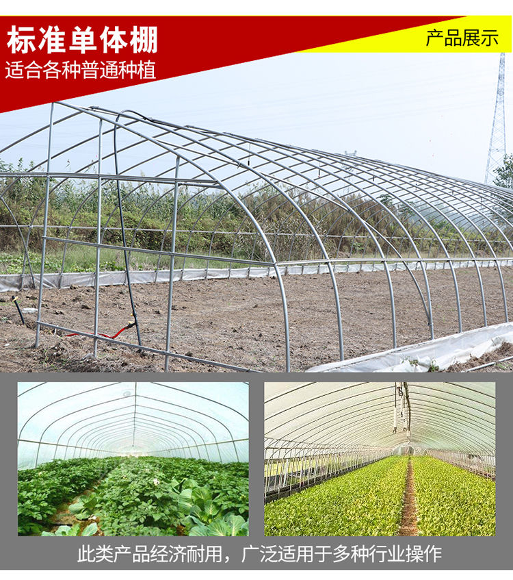 【蔬菜大棚多少錢一畝】葡萄大棚造價(jià)大棚種蔬菜