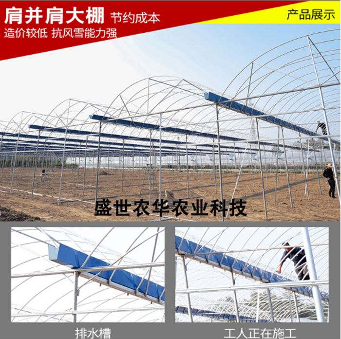 【蔬菜大棚多少錢一畝】葡萄大棚造價(jià)大棚種蔬菜