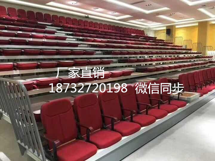 看臺座椅伸縮固定 體育館看臺座椅伸縮固定 中空吹塑前置翻版伸縮看臺座椅