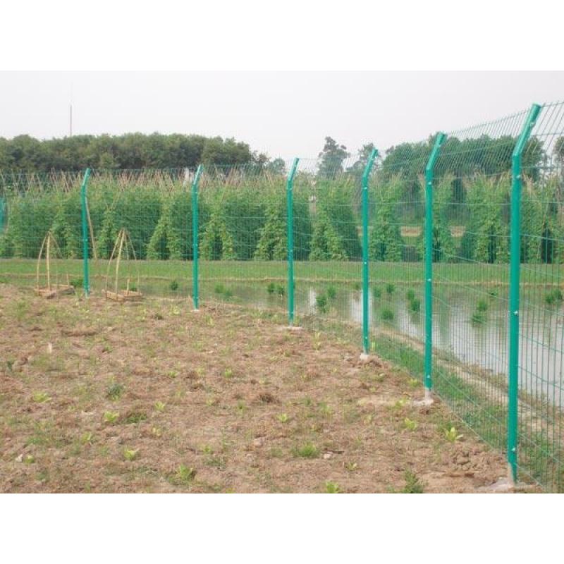護欄網(wǎng)圈地養(yǎng)殖場圍欄網(wǎng)