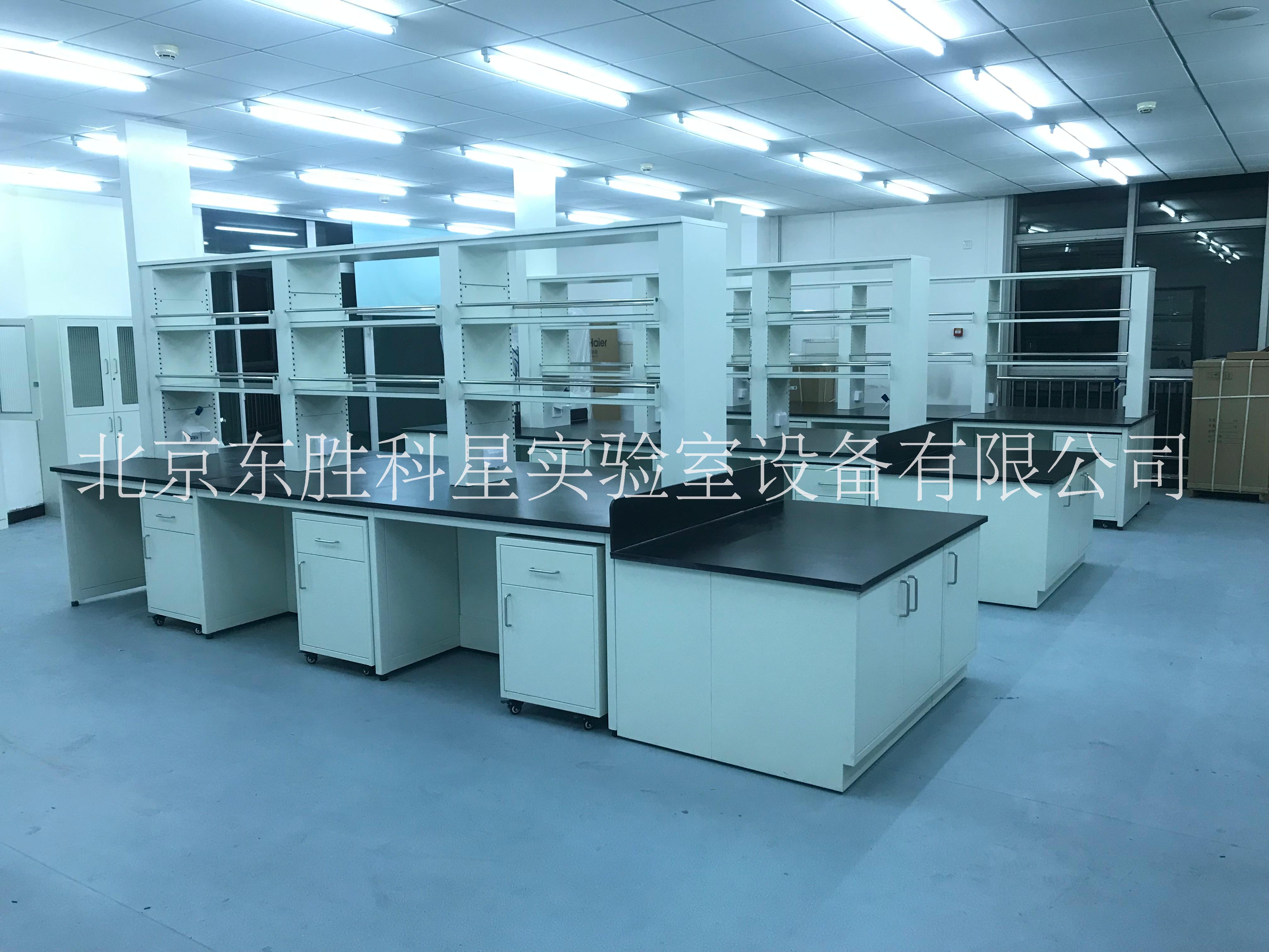 實驗臺 通風(fēng)柜 北京實驗室家具 北京東勝科星實驗室設(shè)備有限公司