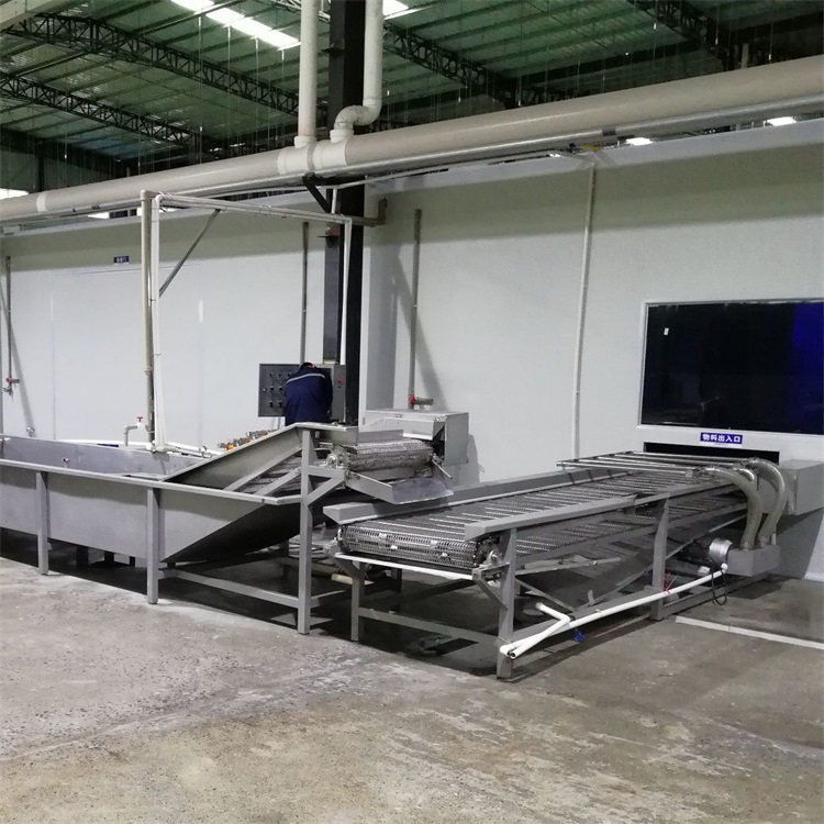 蔬菜清洗機 荔枝氣泡清洗機 海蠣子噴淋清洗機設(shè)備