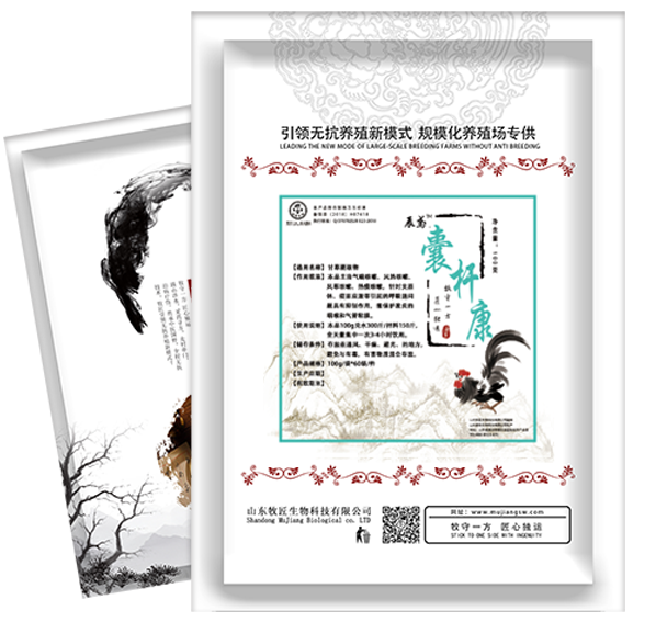 肉雞氣囊炎混感怎么治，肉雞氣囊炎有什么好藥，囊桿康