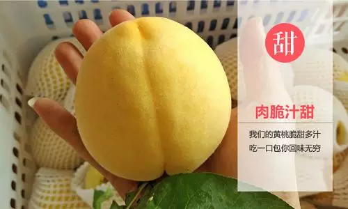 夏天來了，炎陵黃桃快要熟了