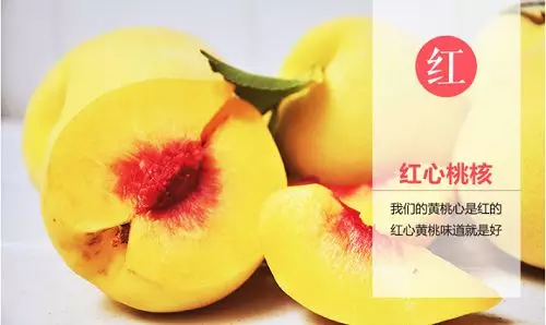 看一下炎陵黃桃是什么？?