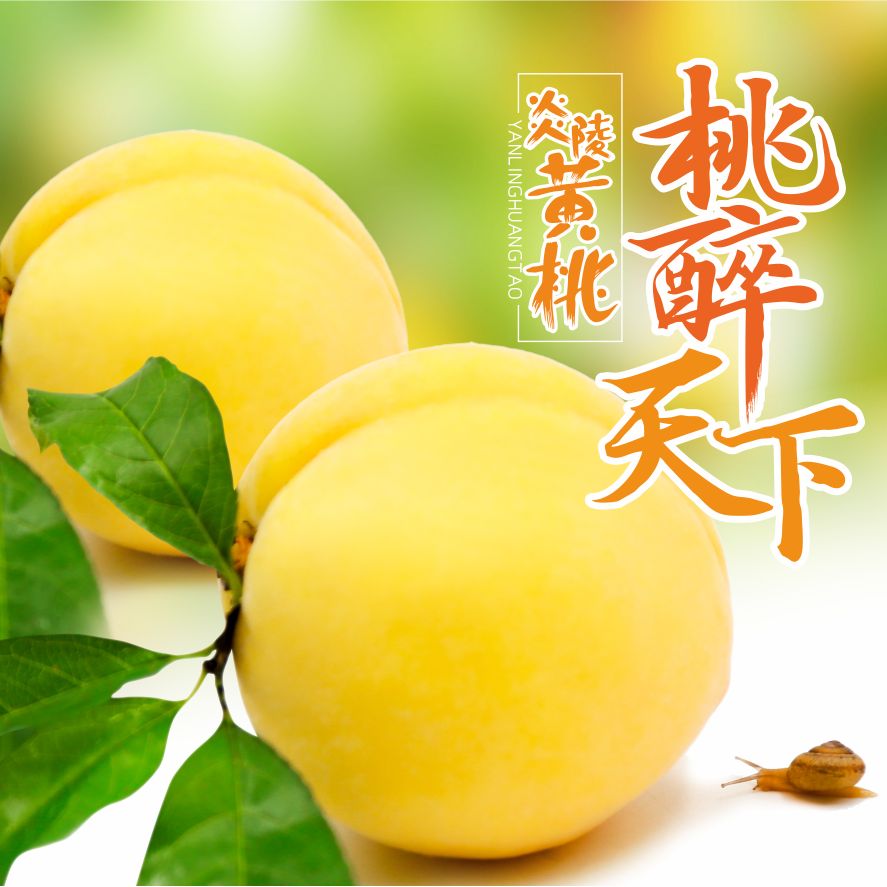 看一下炎陵黃桃是什么？?