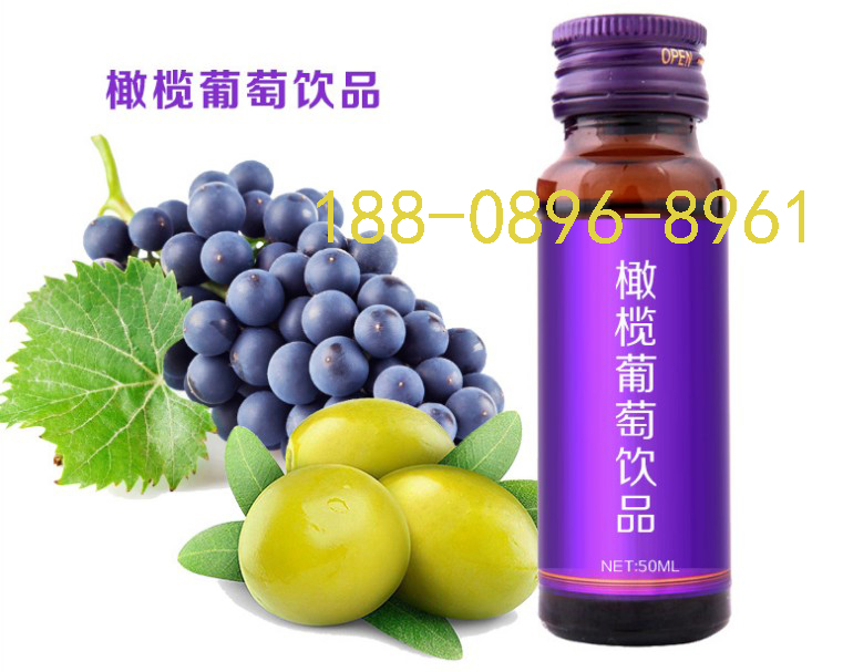小規(guī)格藍(lán)莓酵素果汁飲品OEM|藍(lán)莓原漿提取代加工工廠?
