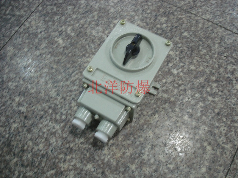 防爆轉(zhuǎn)換開關(guān)