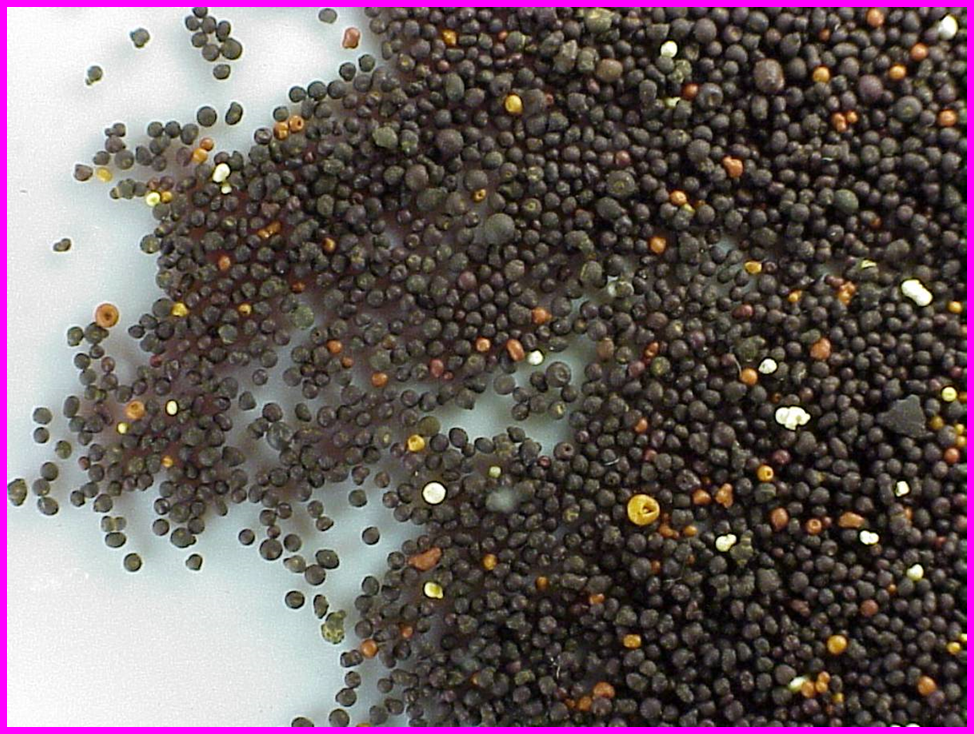 無(wú)錫芬頓塔代加工