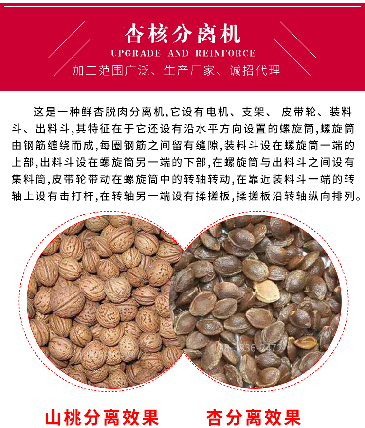 新型鮮杏去肉機(jī)剝杏肉杏核機(jī)促銷