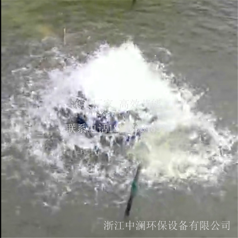 中瀾ZL-YQA涌泉曝氣機(jī) 涌浪增氧機(jī)