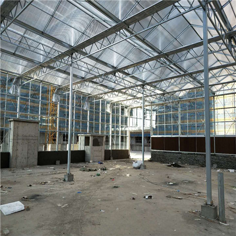 山東紋絡(luò)溫室|紋絡(luò)玻璃溫室|紋絡(luò)溫室建造|紋絡(luò)溫室建設(shè)|紋絡(luò)型溫室|紋絡(luò)溫室價(jià)格