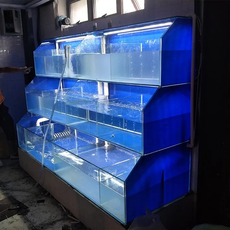 廣西專業(yè)定做生猛河鮮海鮮魚池定做安裝制作