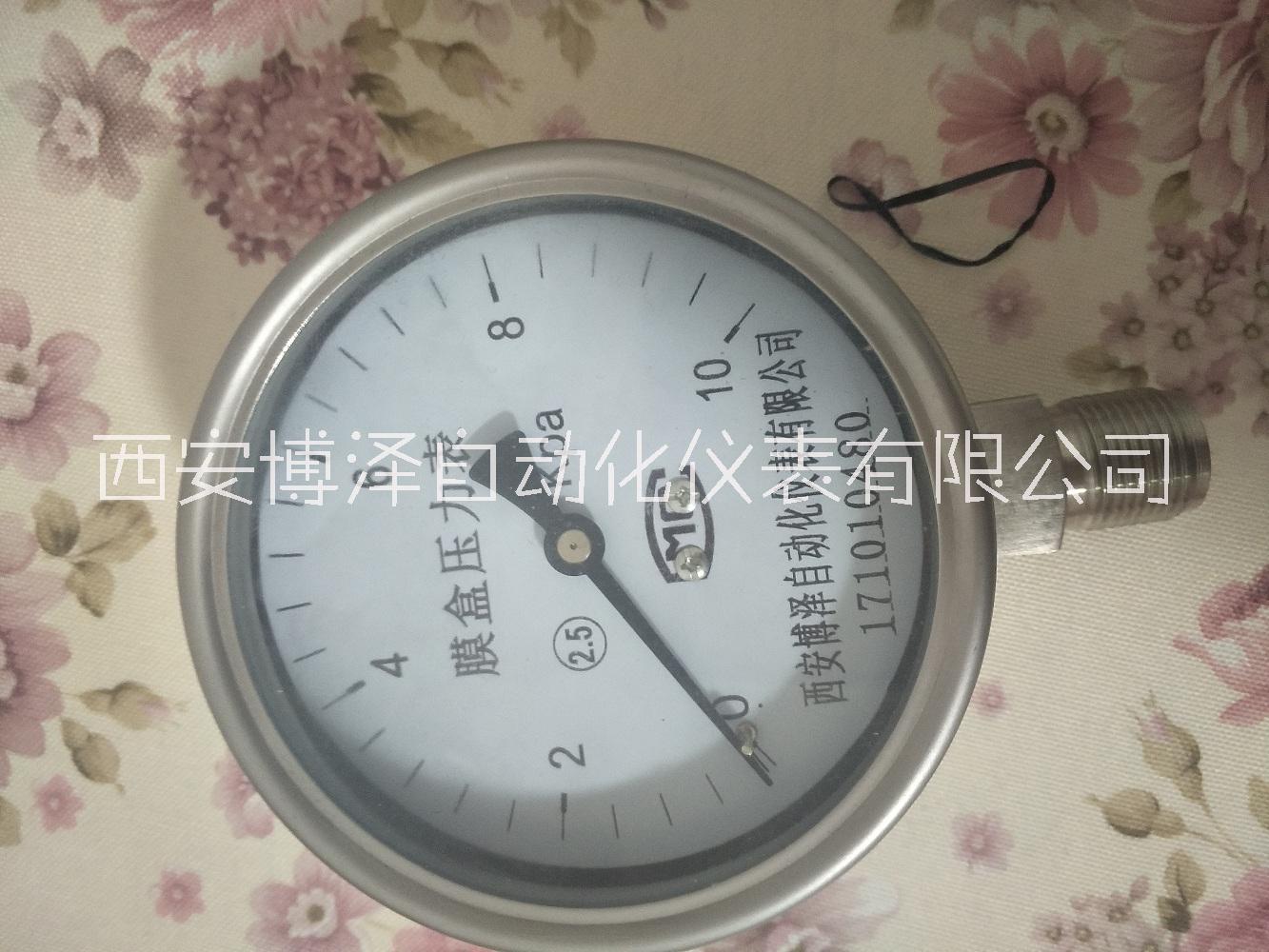 YE-100膜盒壓力表 2.5級(jí)