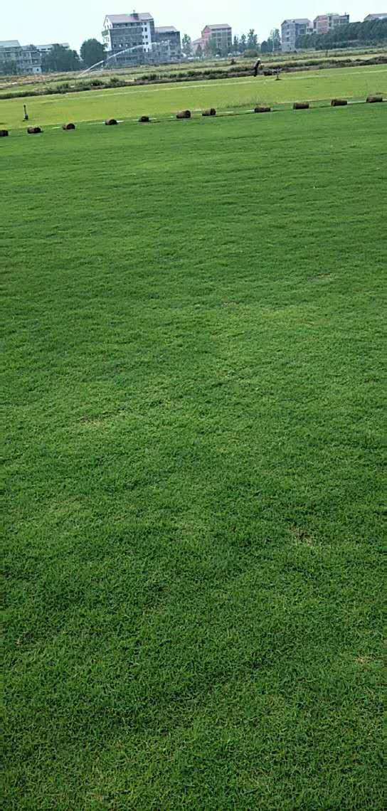 蘭引三號(hào) 湖北蘭引三號(hào)供應(yīng)商  湖南蘭引三號(hào)供應(yīng)商 廣東蘭引三號(hào)供應(yīng)商 廣西蘭引三號(hào)供應(yīng)商