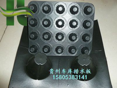 貴州車庫排水板廠家3公分阻根排水板供應(yīng)