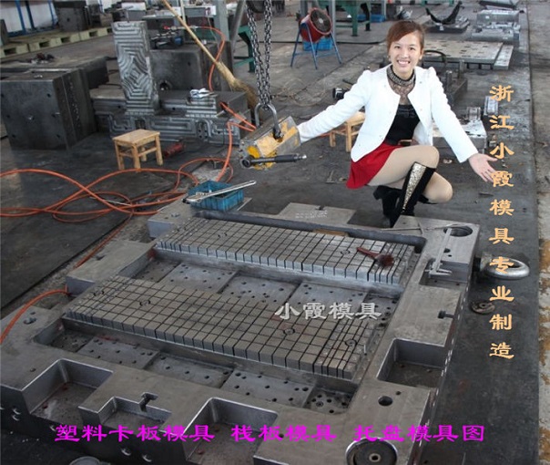 *載重注射地臺(tái)板模具 *載重注射地臺(tái)板模具可定制開(kāi)模