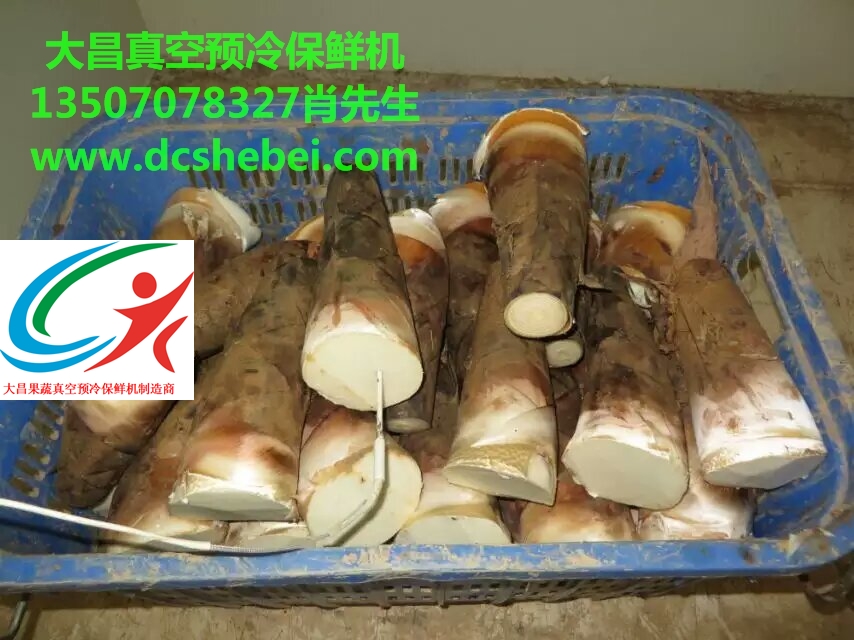 蔬菜真空預(yù)冷機(jī)，蔬菜保鮮設(shè)備