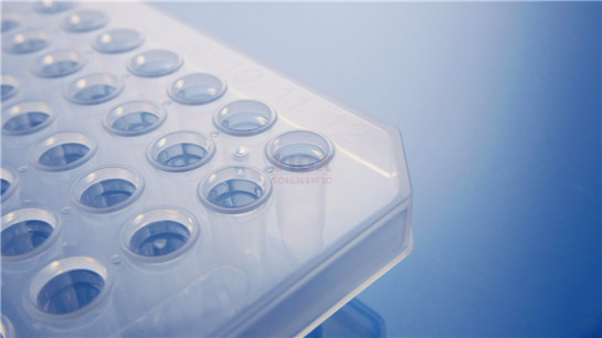 半裙邊96*0.2mlPCR板PCR耗材