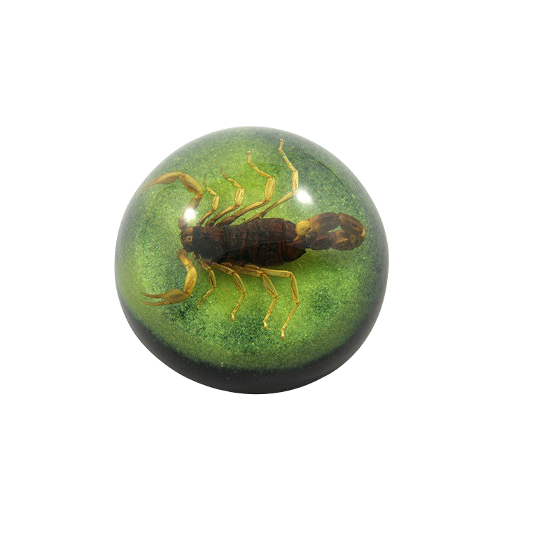 廠家熱銷 高透明水晶膠工藝品 樹脂內(nèi)埋真昆蟲標(biāo)本 可批量定制