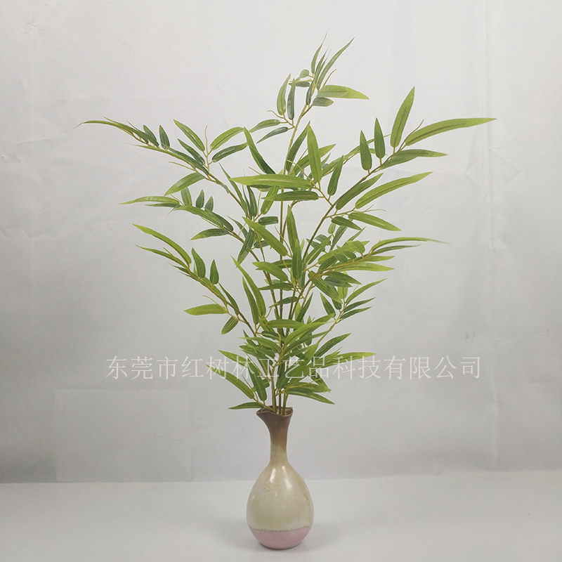 東莞小盆景價格，金絲楠竹盆景批發(fā)