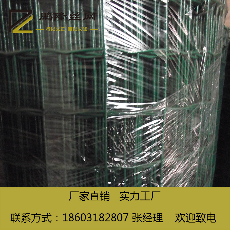 鵬隆絲網(wǎng) 綠色環(huán)保 養(yǎng)殖鐵絲網(wǎng) 60*100 荷蘭網(wǎng) 實(shí)體廠家