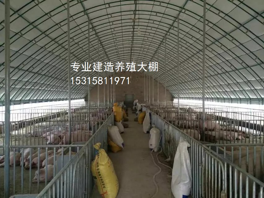 溫室大棚廠家 全封閉畜牧養(yǎng)殖棚  畜牧溫室牛羊棚 恒溫養(yǎng)殖棚