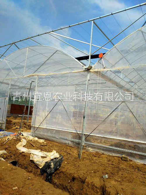 山東簡易連棟大棚、簡易薄膜大棚