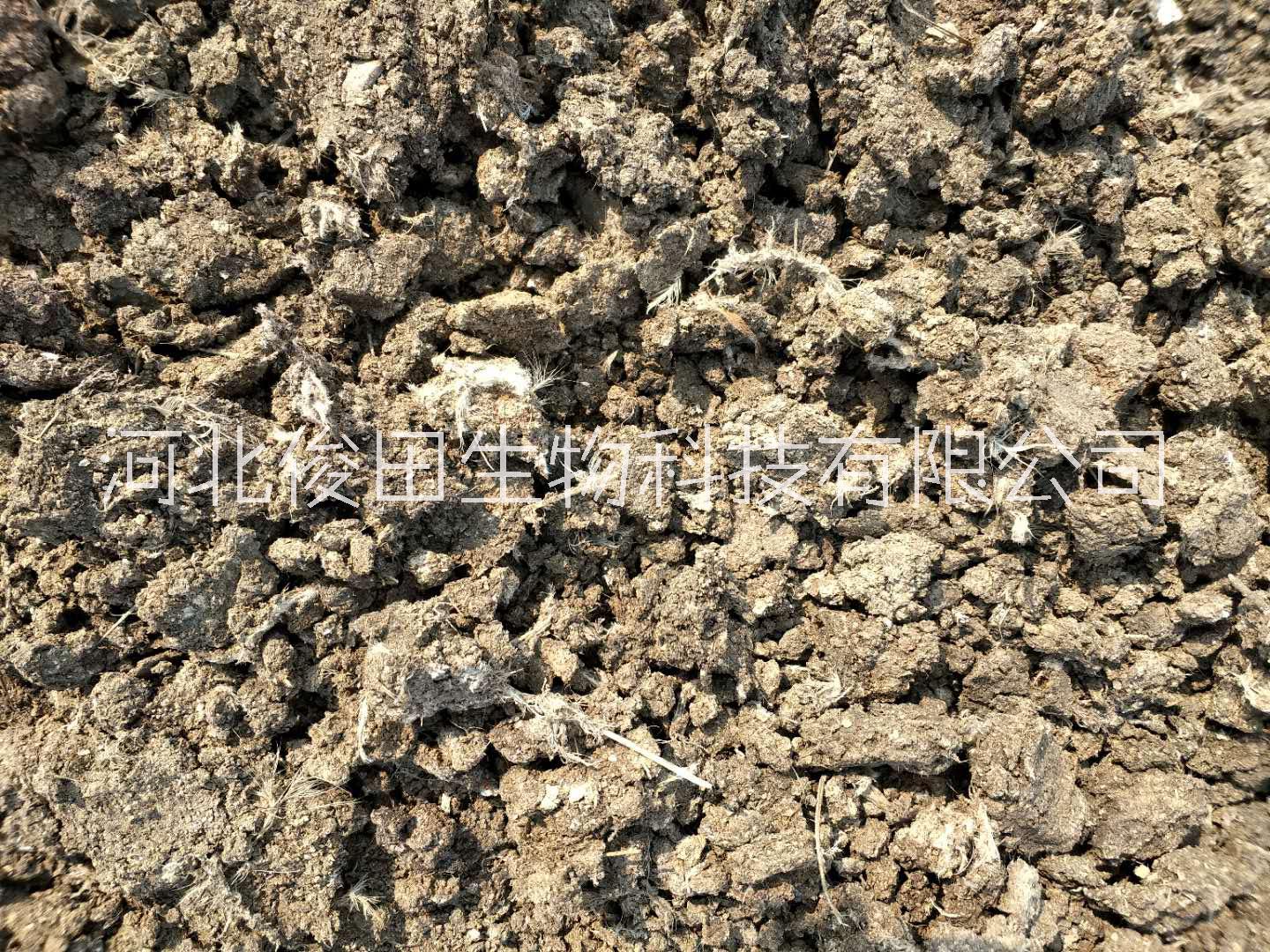 雞糞 干雞糞 雞糞山西太原廠家直銷果蔬*雞糞干雞糞塊發(fā)酵雞糞有機(jī)肥
