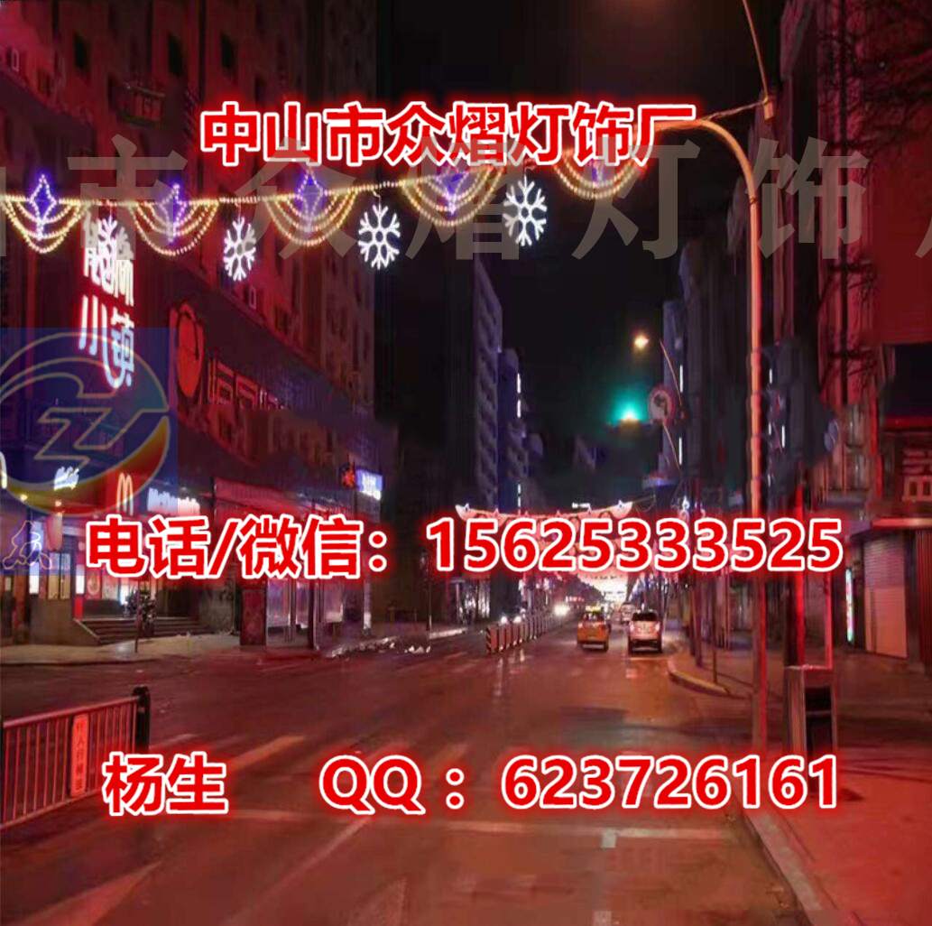 LED造型燈 樓體亮化 樹木亮化用造型燈 雪花過街燈 圣誕節(jié)日亮化燈