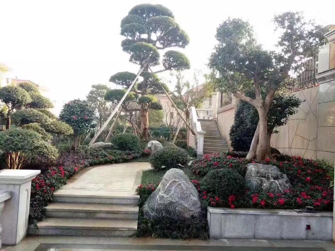 *布景，*裝飾，*造景，*點綴