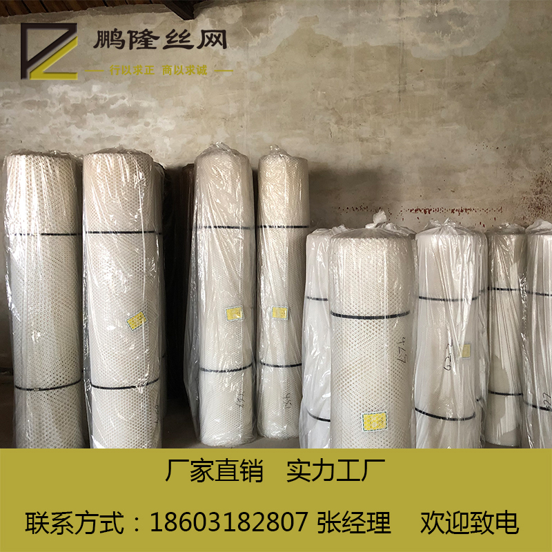 供應(yīng)河北鵬隆絲網(wǎng)  養(yǎng)蝦塑料平網(wǎng) 水產(chǎn)養(yǎng)殖塑料平網(wǎng) *廠家